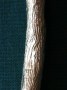 Branche réf. 194